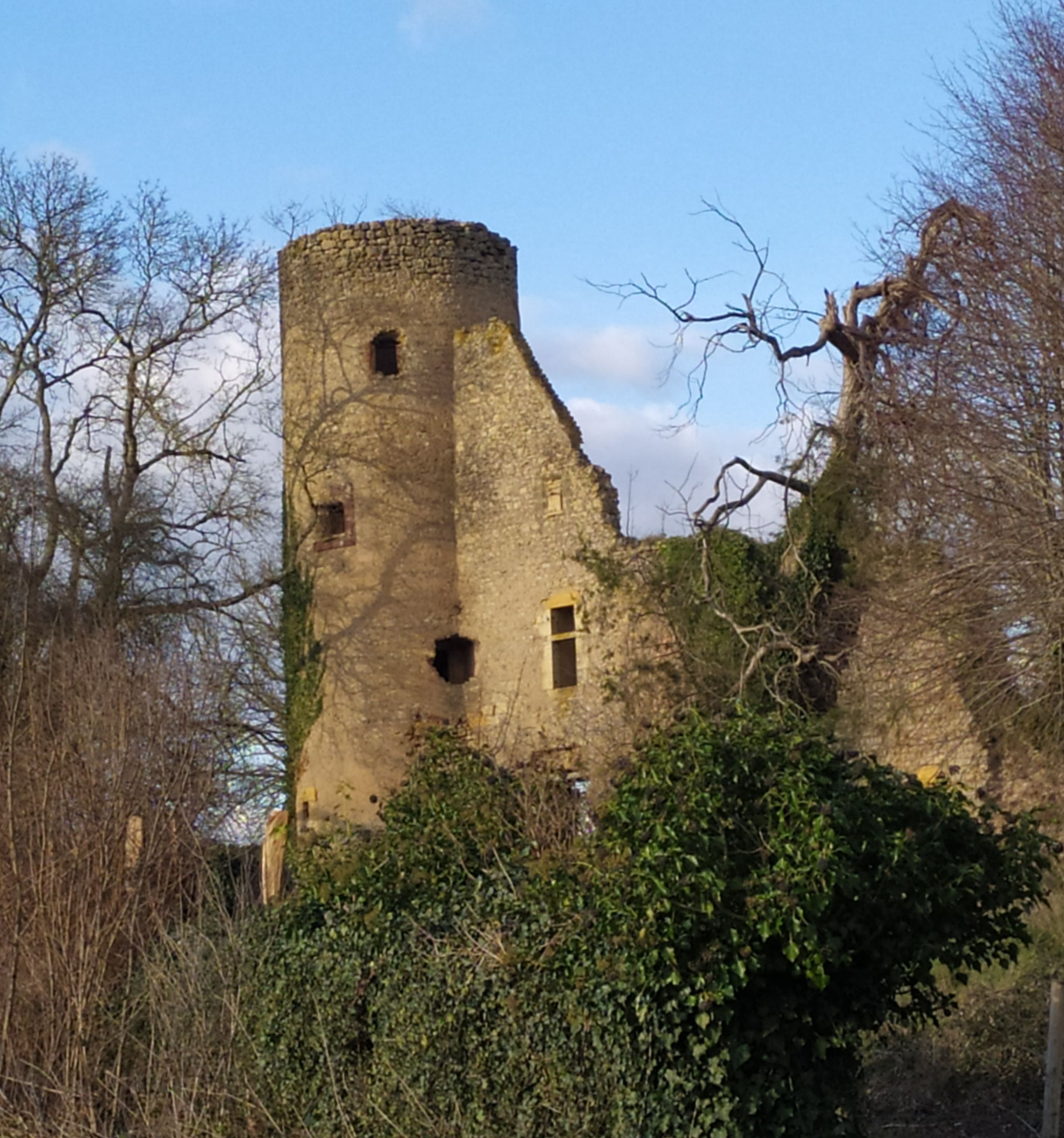 Ruines du château de Moulin-l'Arconce