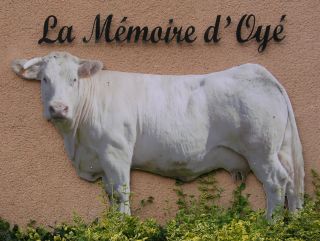 Musée La Mémoire d'Oyé