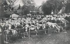 St-Xphe 008