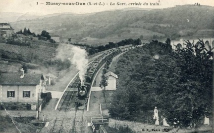 Mussy 015