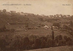 Semur 031