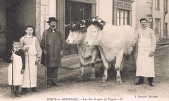 Semur 036