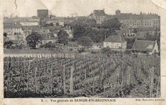 Semur 060