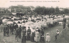 Semur 082