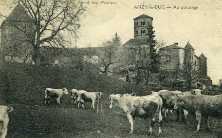 Anzy-le-Duc 024