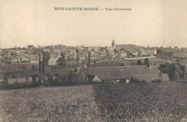 Bois-Sainte-Marie 001